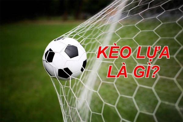 Kèo lựa cho phép người chơi tự chọn loại cược phù hợp